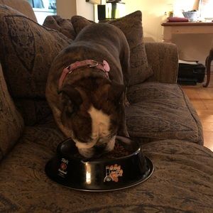 Meet your Posher, Caroline